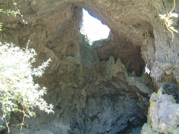 15 Wanderung zu den Jenolan Caves